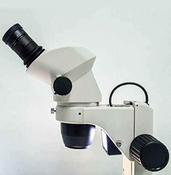stereo-zoom-microscopes